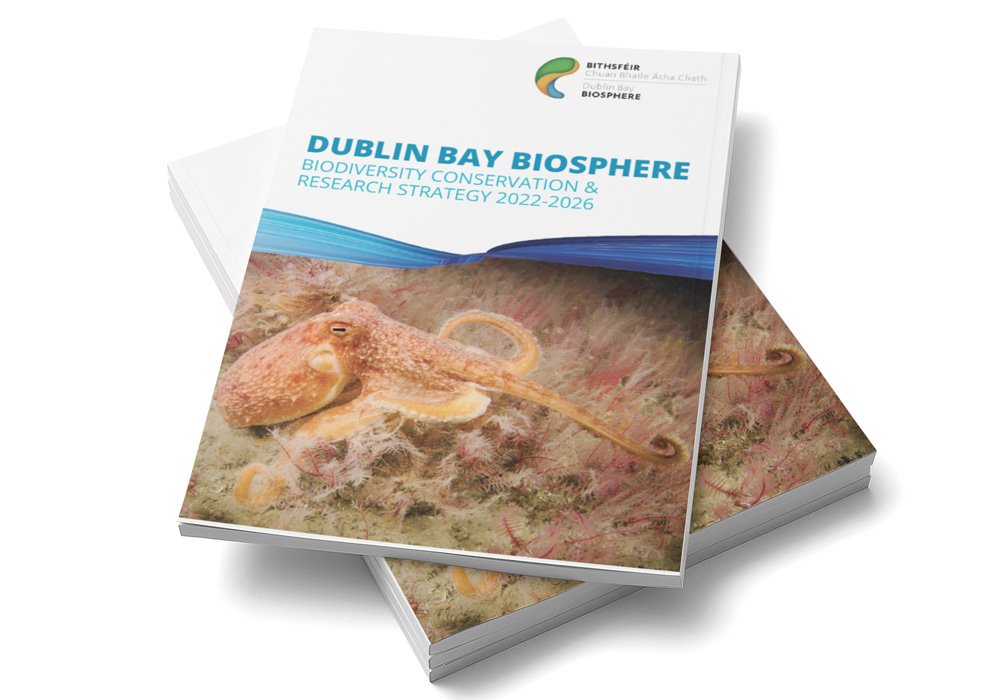 Dublin Bay Biosphere 'Biodiversity Conservation & Research Strategy 2022-2026' Report Dublin Bay Biosphere 'Biodiversity Conservation & Research Strategy 2022-2026' Report