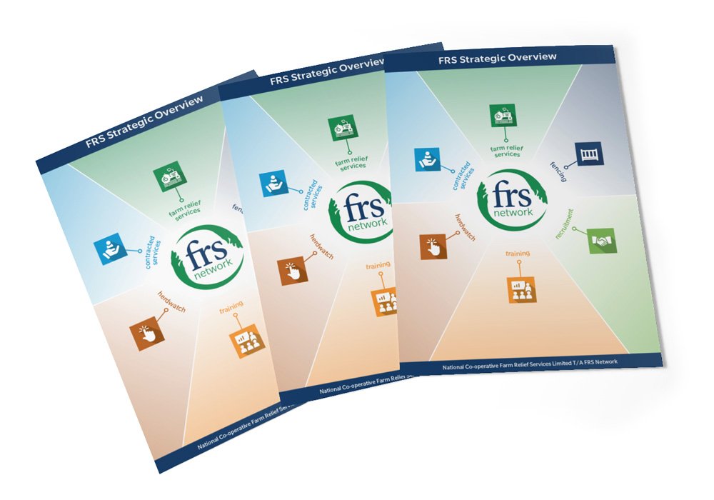 FRS Network 'Strategic Overview' Report FRS Network 'Strategic Overview' Report